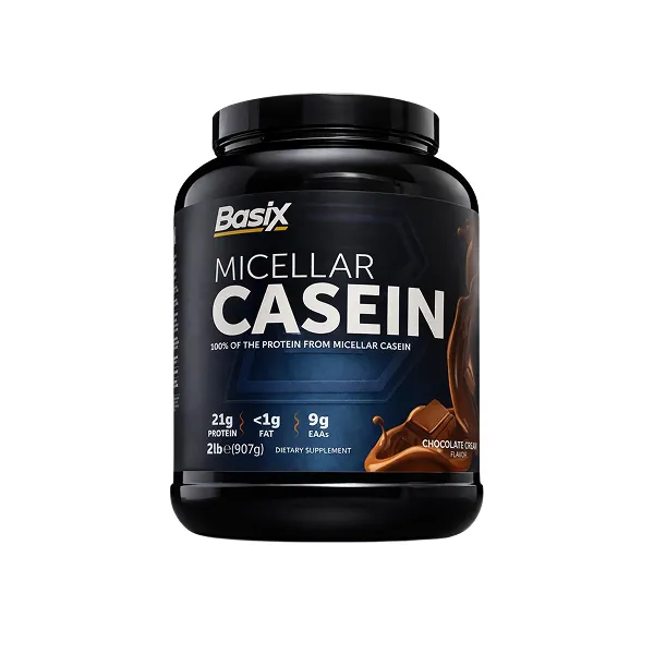 Basix Micellar Casein Chocolate Chunk 2lbs
